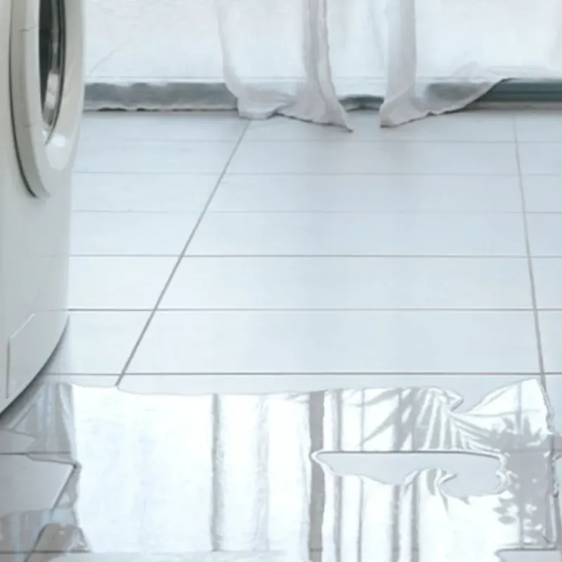 Appliance Leak Cleanup in East Foothills, CA