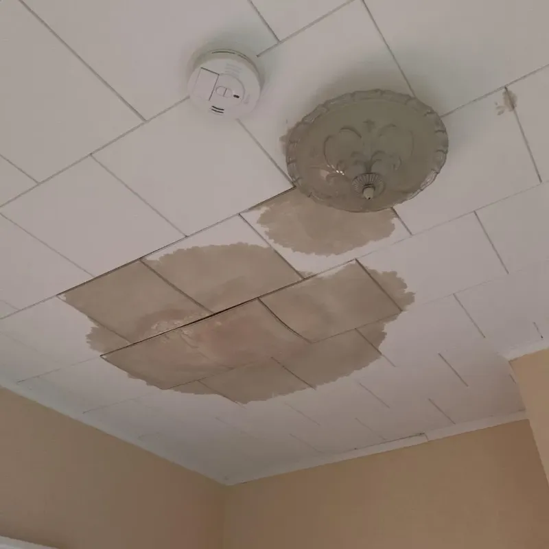Ceiling Water Damage Repair in East Foothills, CA