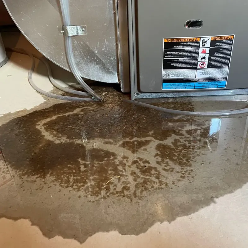 Pipe Burst and Leak Restoration in East Foothills, CA
